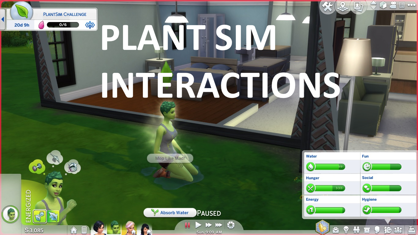 Plant Sim Interactions